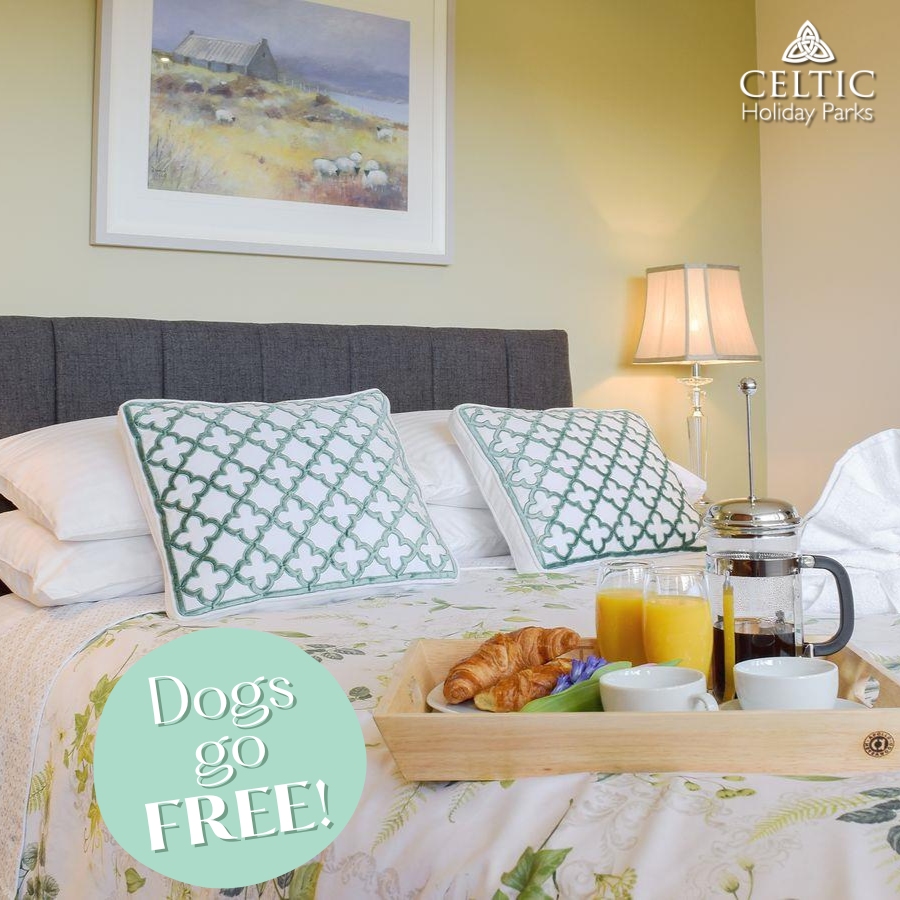 Dogs go FREE for Select Dates on Greenacres stays this October 2025!