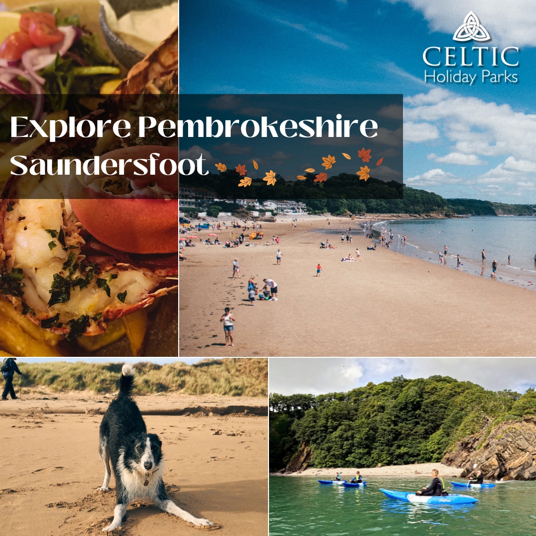 Explore Pembrokeshire this Autumn 2025 - Saundersfoot!