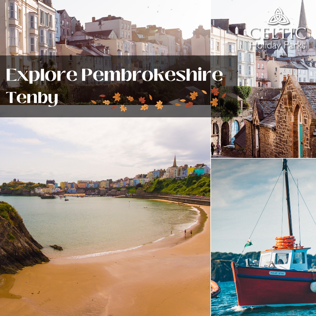Explore Pembrokeshire this Autumn - Tenby