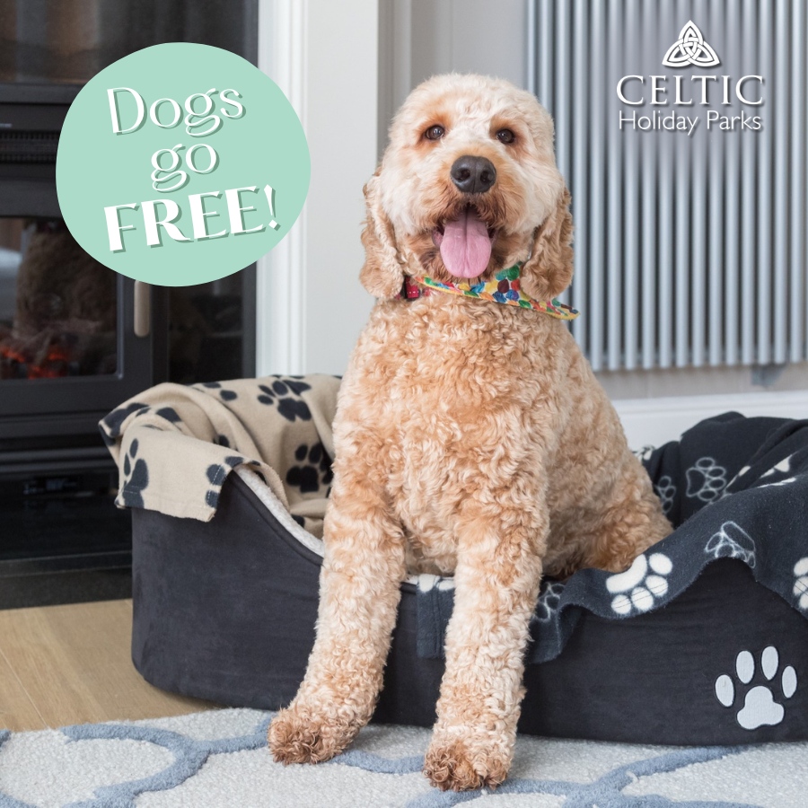 Dogs go FREE for select Hampton Lodge 2 dates this July 2025
