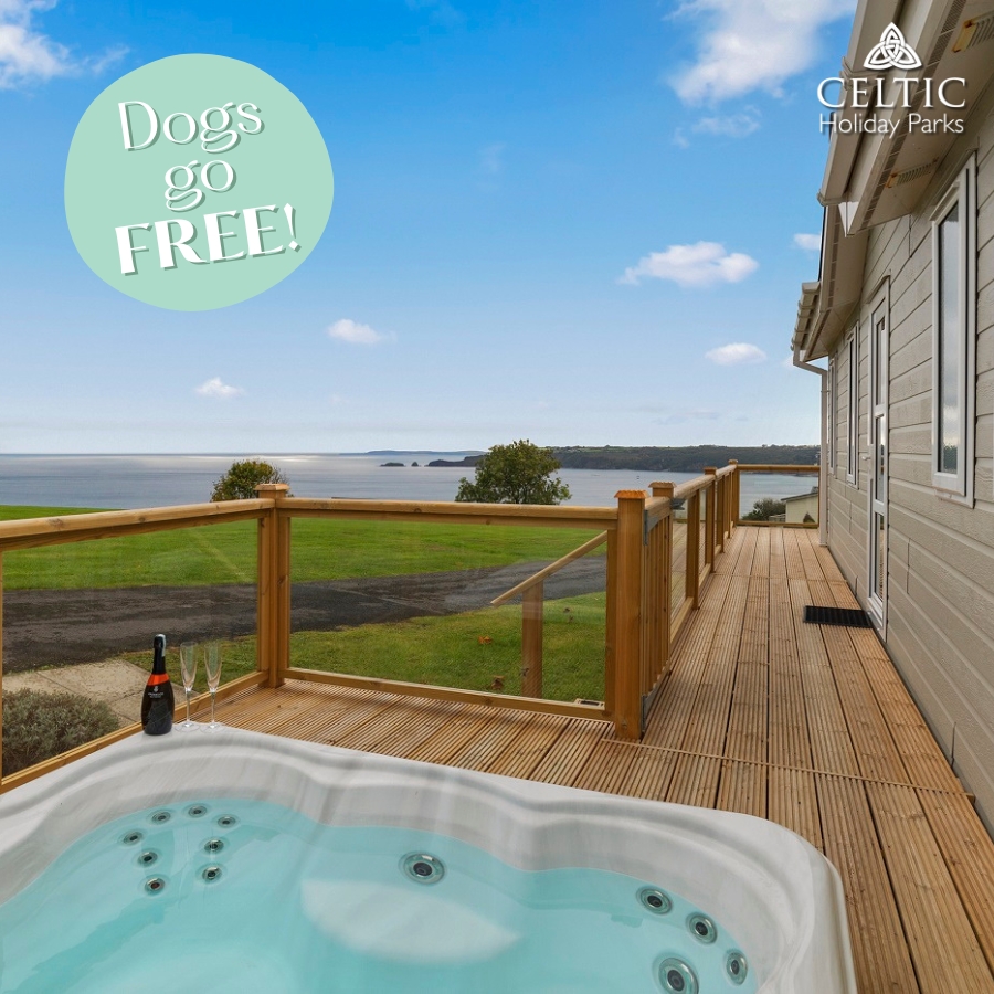 Last Minute Amroth 3 Lodge Hot Tub Break this July