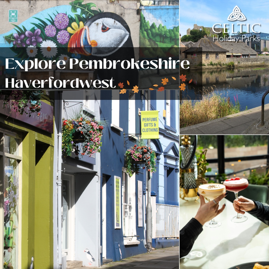 Explore Pembrokeshire this Autumn - Haverfordwest