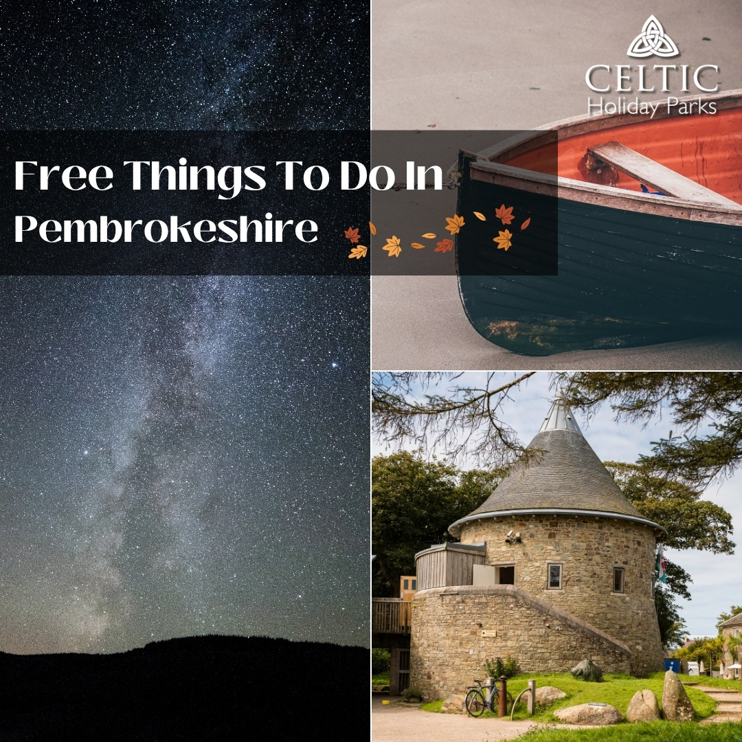 FREE Things to do in Pembrokeshire this Autumn & October Half Term 2025!