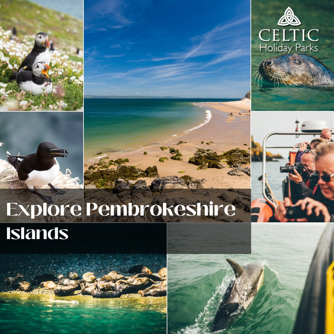 Explore Pembrokeshire Islands