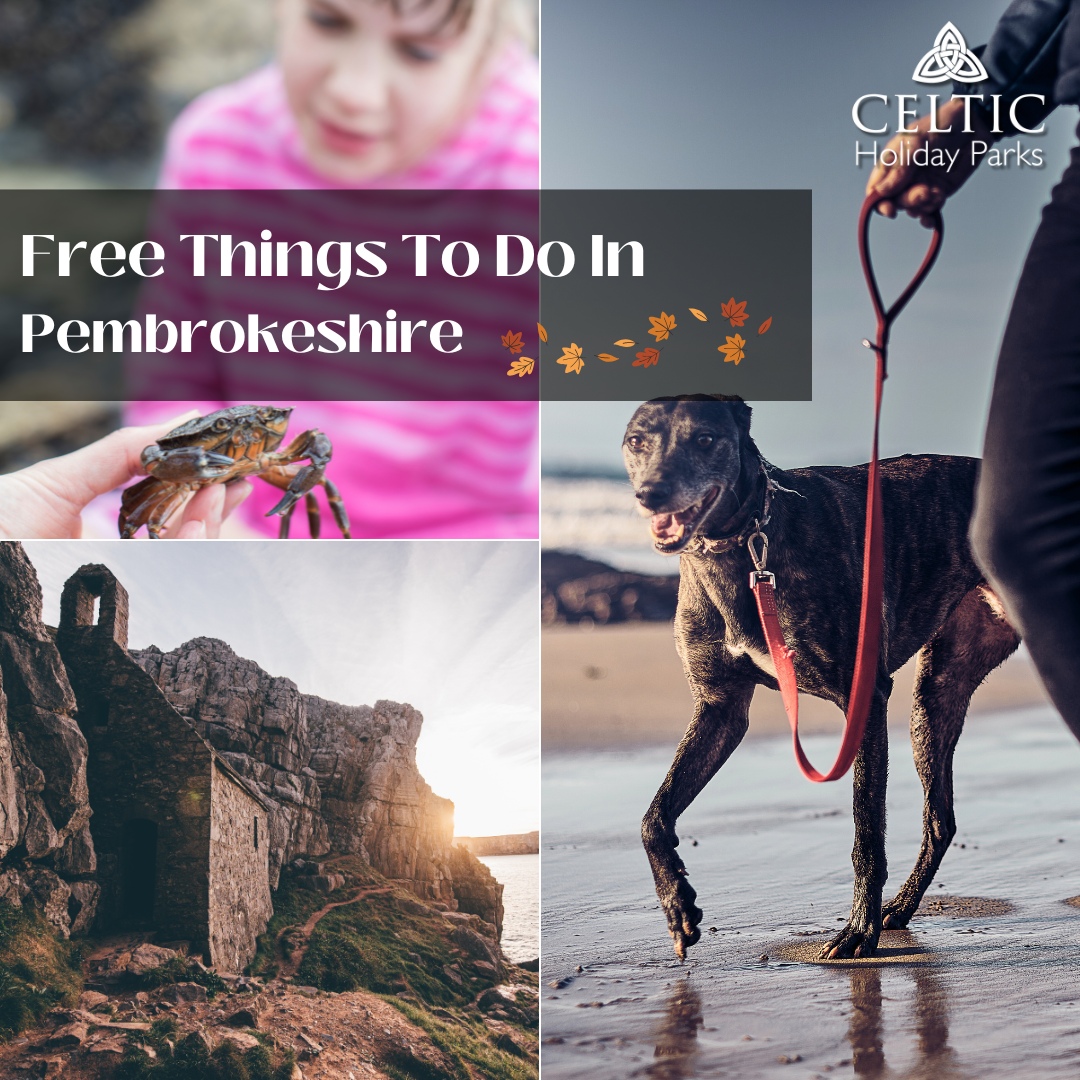 MORE Free Things to do in Pembrokeshire this Autumn & October Half Term!