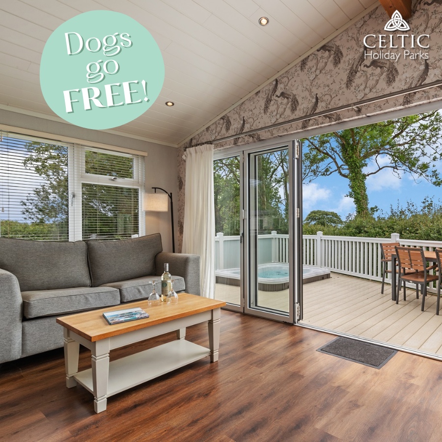 Last Minute Skokholm Lodge Stay This October - Dogs Go FREE!