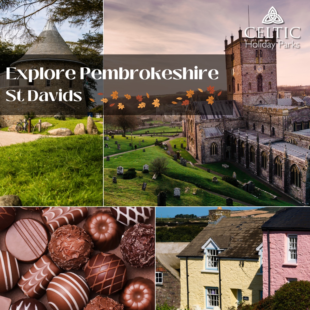 Explore Pembrokeshire this Autumn - St Davids!